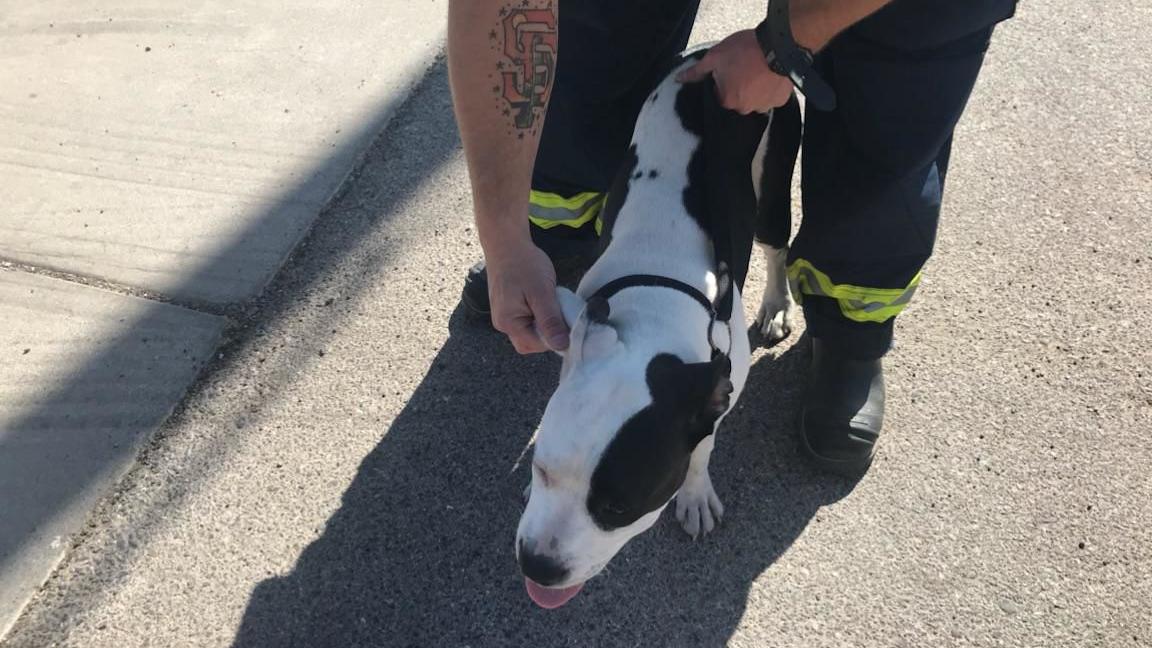 No working smoke alarms in blaze that displaced family, fire official say